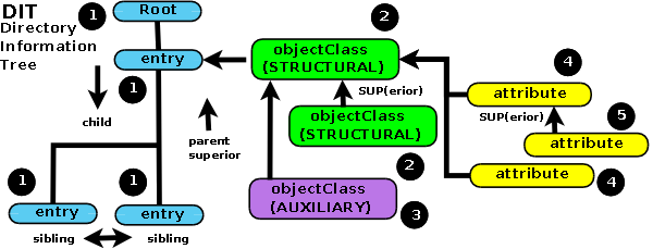 LDAP DIT Structure